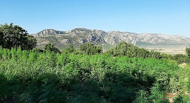 Eren Abluka-23 Şehit Jandarma Astsubay Kıdemli Çavuş Ümmet Ufacık Narko Terör Operasyonu Başlatıldı 