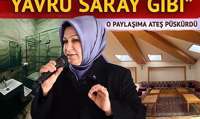 'Yavru saray' paylaşımı Şeyma Döğücü'yü kızdırdı! Görüntüleri paylaşan İsmail Saymaz'a ateş püskürdü: 