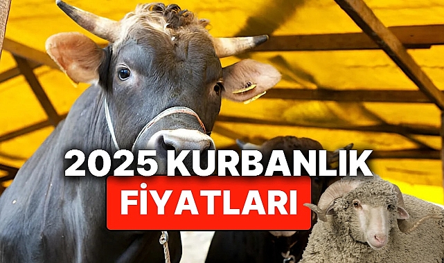 2025 Bursa’da Kurban Fiyatları Belli Oldu