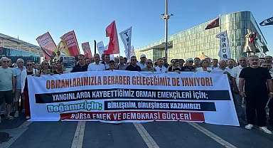 Artan orman yangınlarına Bursa'dan ses oldular! Mücadelede toplum temelli yaklaşık çağrısı